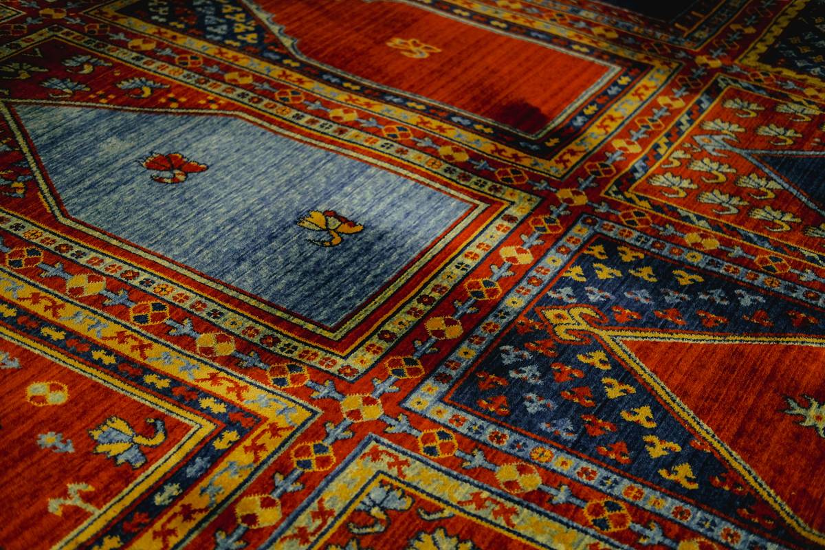 Real-world installation examples of different types of nylon carpet in Los Angeles homes