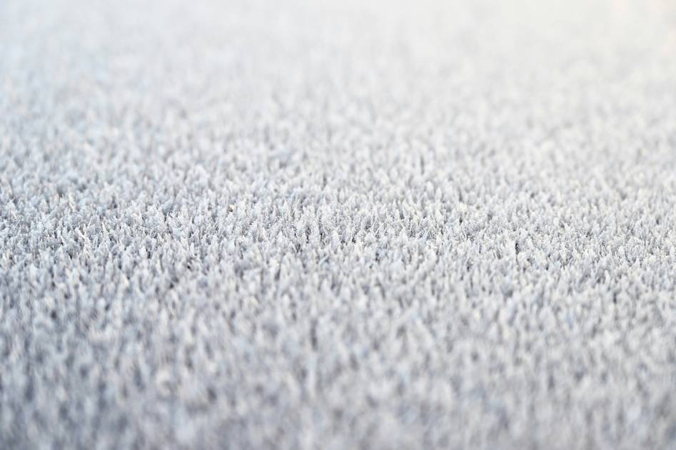 Close-up of soft, durable nylon carpet in a modern living room with natural light