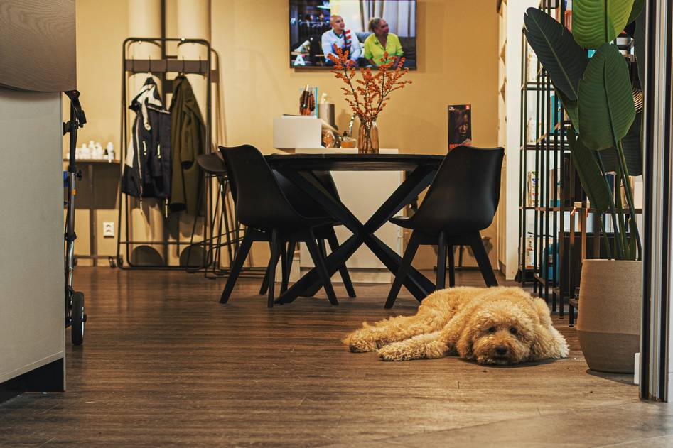 Team reviewing nylon carpet samples in a cozy home office setting